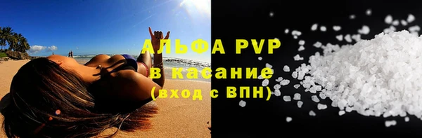 spice Аркадак