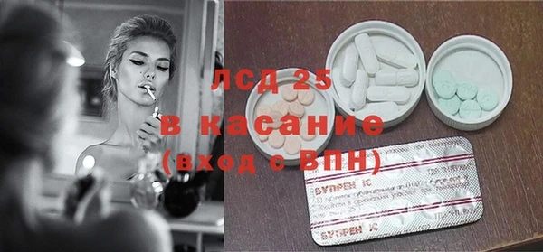 spice Аркадак