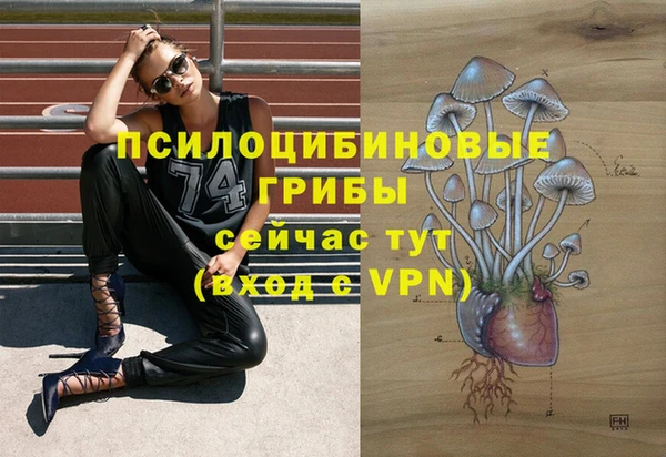 скорость Протвино