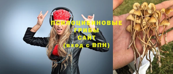 spice Аркадак