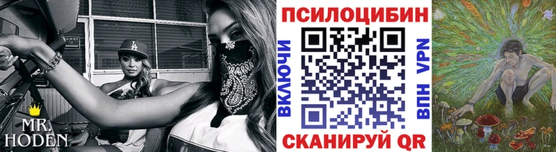 Галлюциногенные грибы ЛСД Шилка